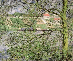 Through the Trees